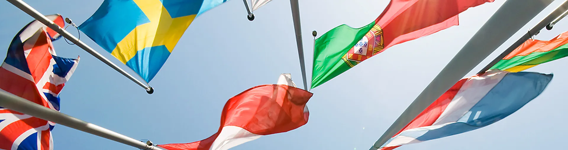 Statutory and Flag State Services