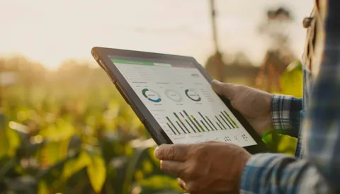 Sustainability Report Assurance