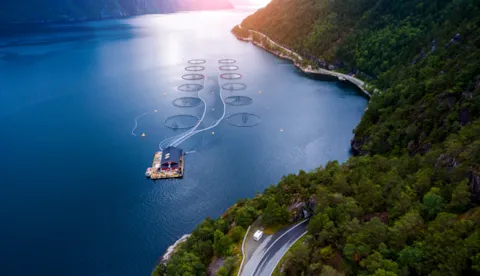 Aquaculture