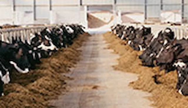 Animal Feed & Ingredients - GMP+ FSA, FAMI-QS and FSSC 22000
