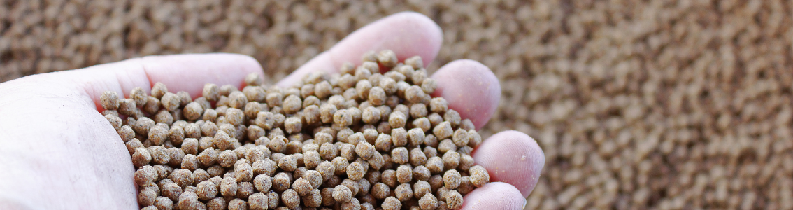 ASC feed standard - 1134x300