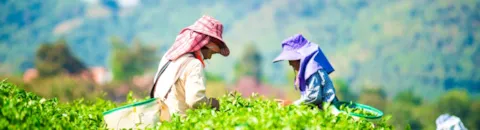 Corporate Sustainability Due Diligence_1134x300