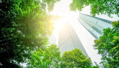 Regulation & compliance