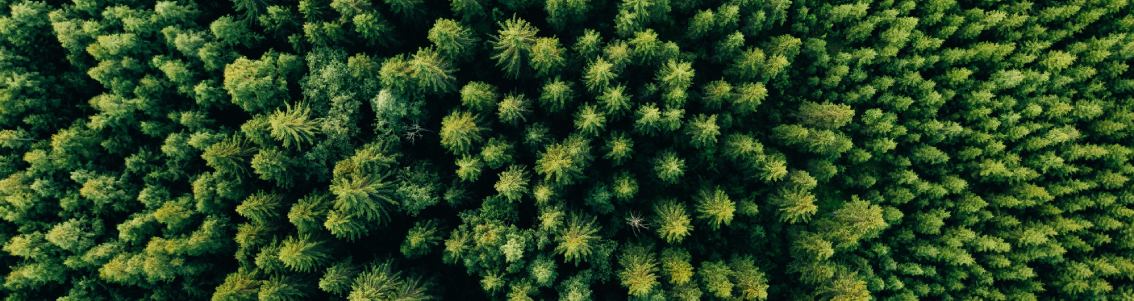 Deforestation-Free Products_1134x300