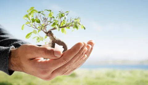 Product sustainability