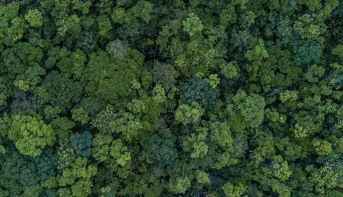 Advising customers on ESG and sustainability