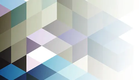 Requirement 4.1 - Understanding the organisation and its context