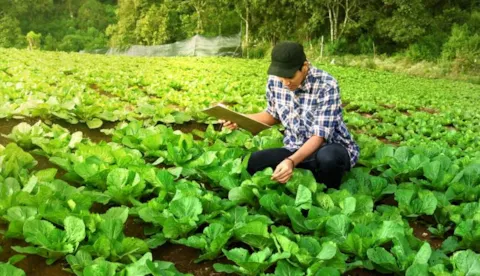 Förflyttning av förtroende från varumärken till produkter