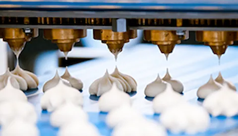 FSSC 22000  – Food safety system certification scheme