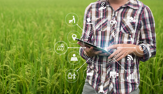 The Shift of Trust From Brands to Products