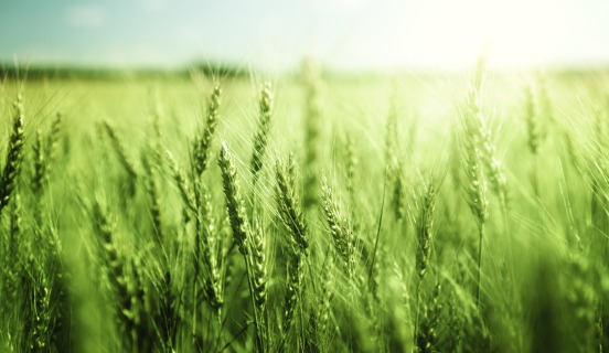 Key changes in ISO 22000:2018 vs ISO 22000:2005 