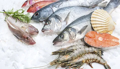 Fisk, skaldjur och vattenbruk