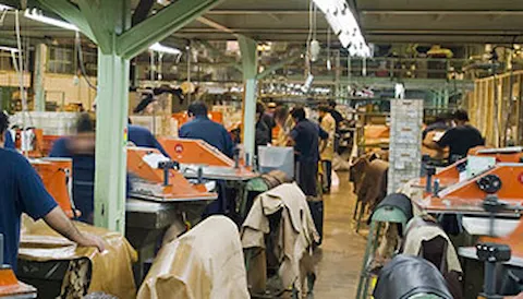 Social and ethical management