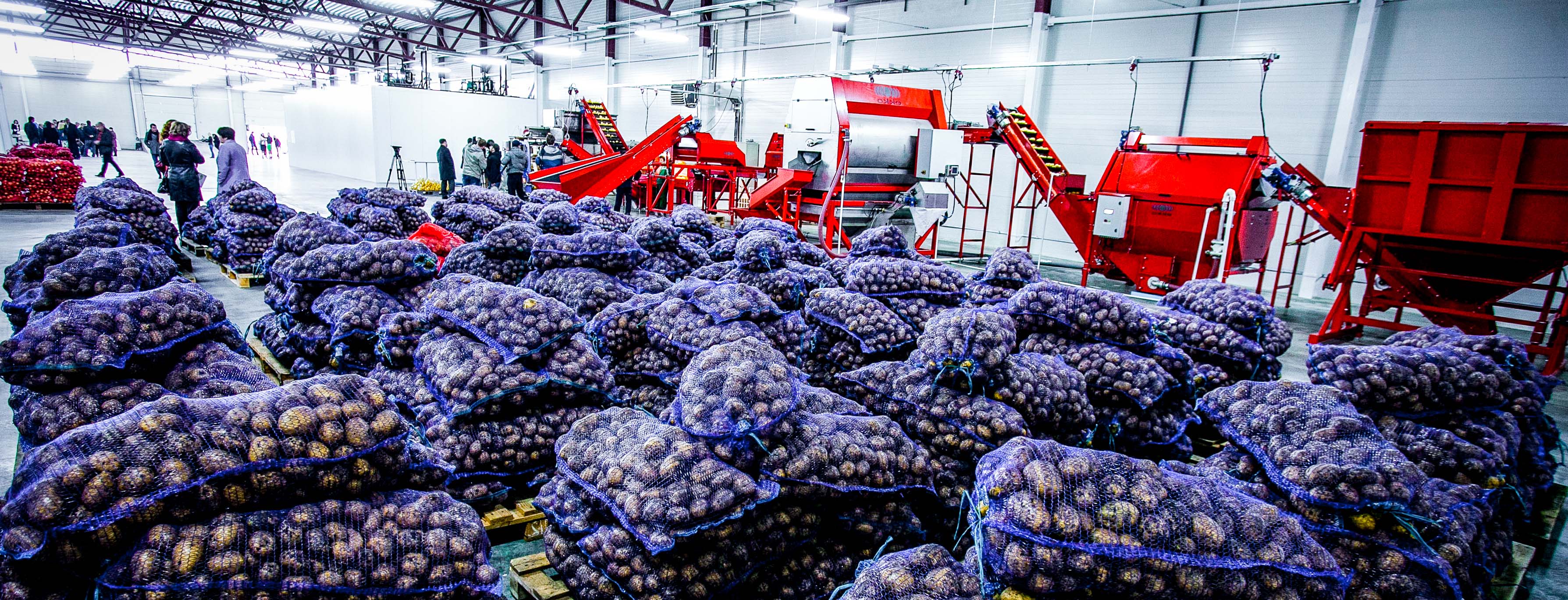 Supplier qualification during crisis