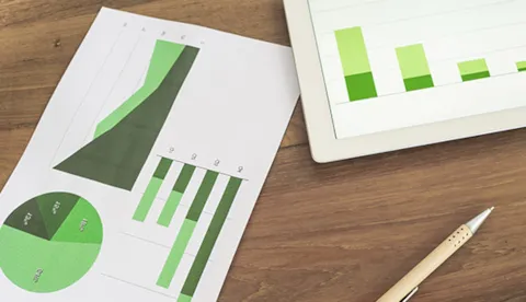 Strategy and reporting