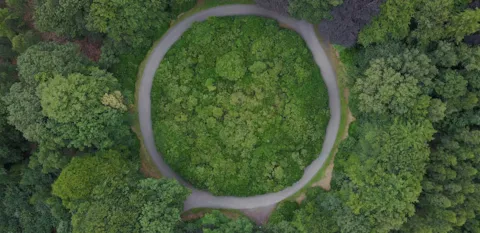 Roundabout in the middle of a forest